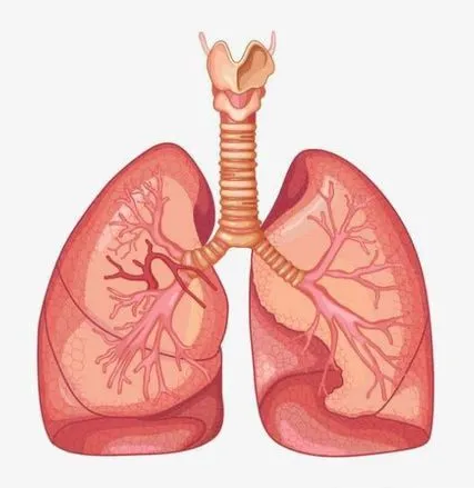 重庆肺癌老中医:引发肺癌最大的因素是什么?有什么办法预防呢