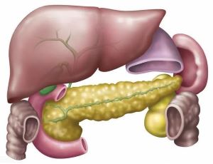 重庆胰腺癌肿瘤中医医师:这些你所不知道的胰腺癌早期信号
