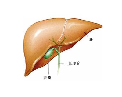 重庆中医肿瘤专家:你了解胆囊癌吗