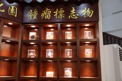 重庆治疗睾丸癌有效的中医院是哪家？